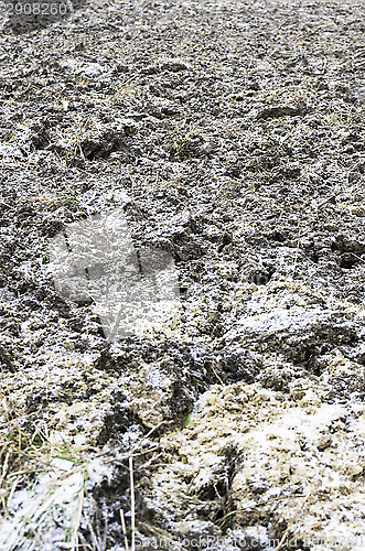 Image of Icy field