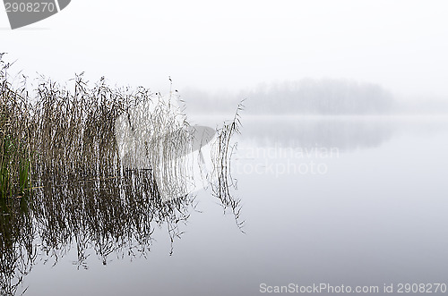 Image of Foggy morning