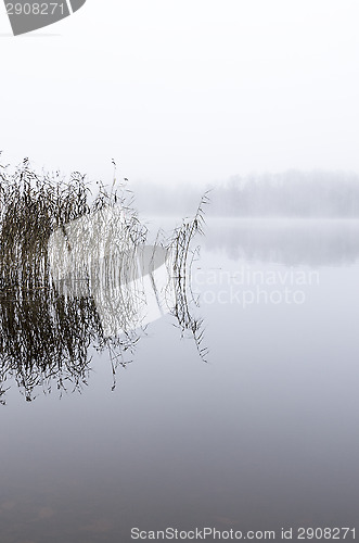 Image of Foggy morning