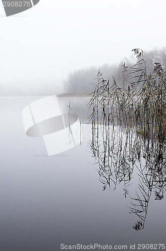 Image of Foggy morning