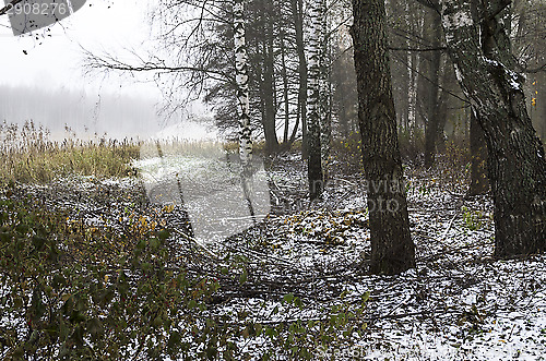 Image of Foggy morning