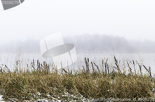 Image of Foggy morning