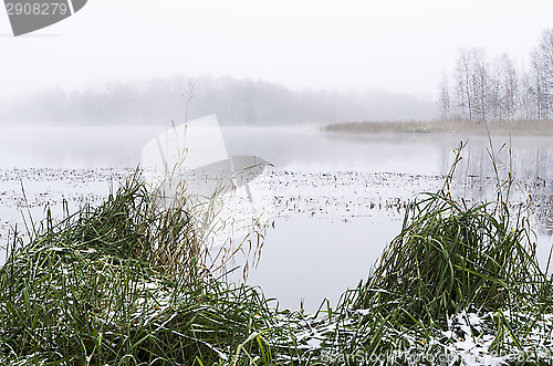 Image of Foggy morning