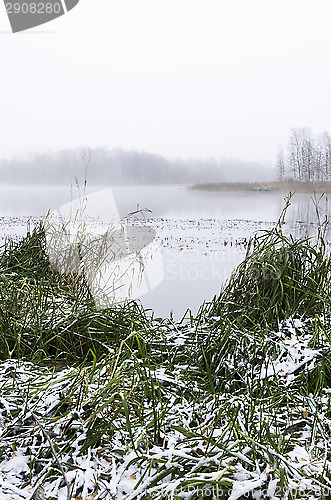 Image of Foggy morning