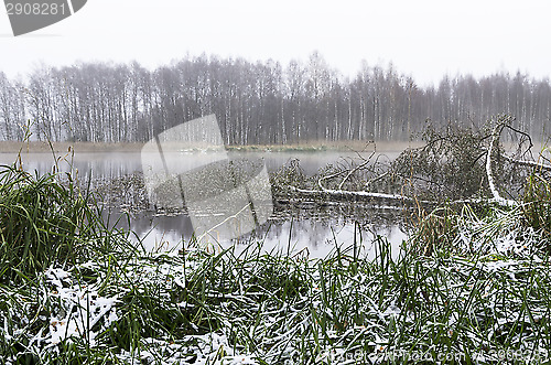 Image of Foggy morning