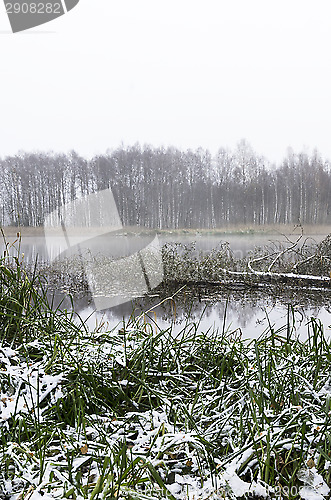 Image of Foggy morning