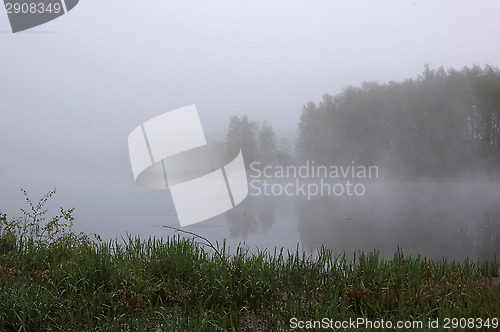 Image of Foggy morning