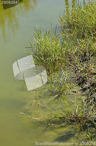 Image of Stream