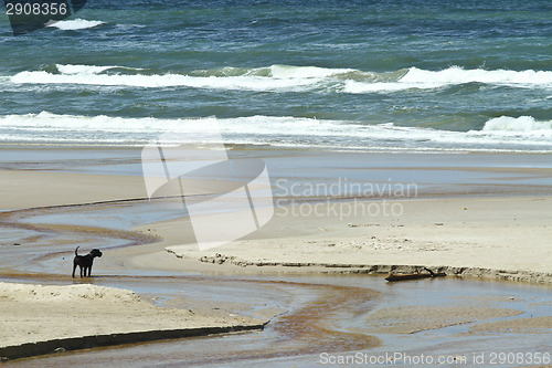 Image of People at at the beach in Denmark