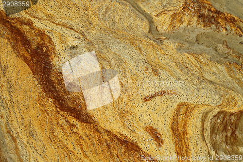 Image of Details in the sand at the beach in Denmark