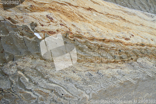 Image of Details in the sand at the beach in Denmark