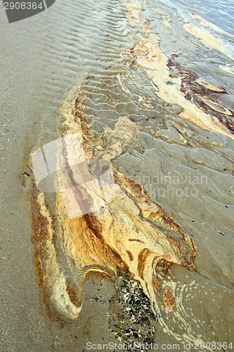 Image of Details in the sand at the beach in Denmark