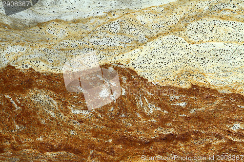 Image of Details in the sand at the beach in Denmark