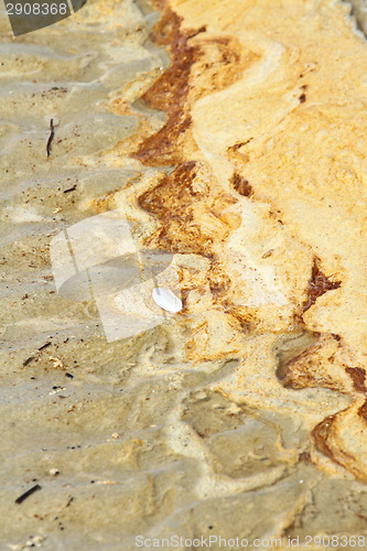 Image of Details in the sand at the beach in Denmark