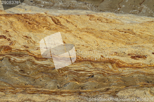 Image of Details in the sand at the beach in Denmark