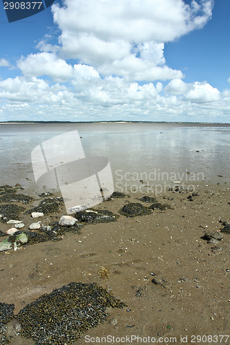 Image of At the beach in Denmark