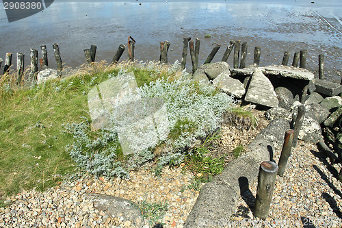 Image of At the beach in Denmark