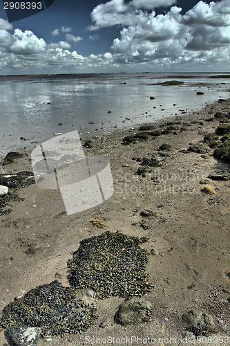 Image of At the beach in Denmark