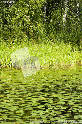 Image of Green lake