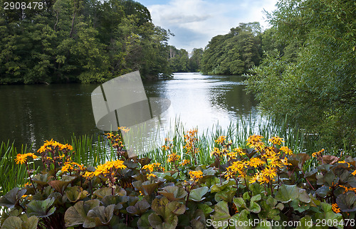 Image of River