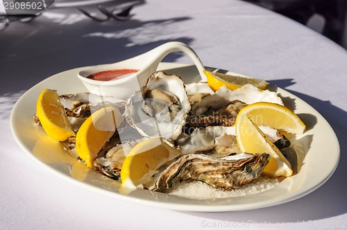 Image of oysters plate