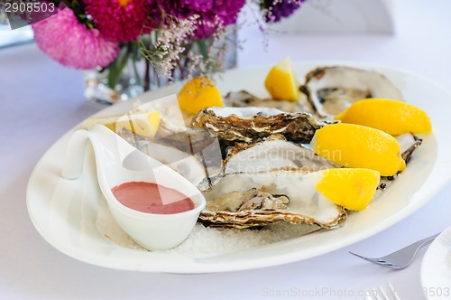 Image of oysters plate