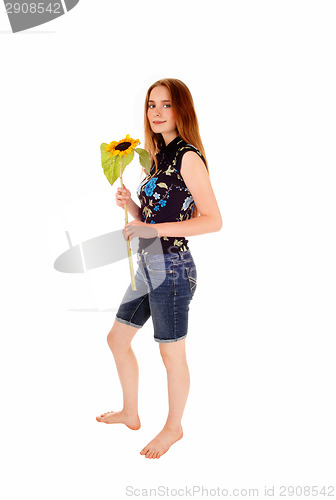 Image of Standing girl with sunflower.