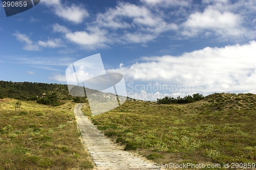 Image of Wood path