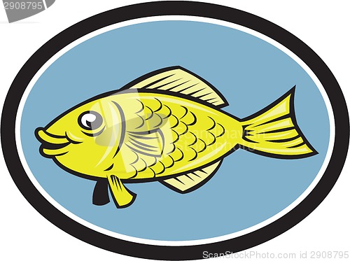 Image of Gourami Fish Side View Oval Cartoon