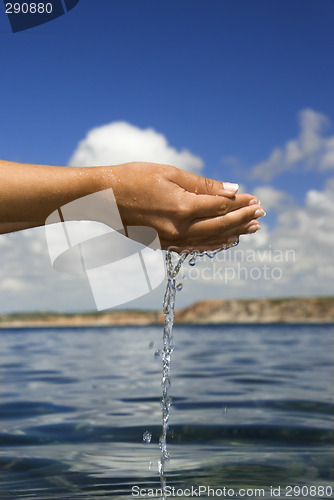 Image of Feeling the water