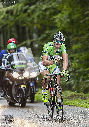 Image of Green Jersey - Peter Sagan