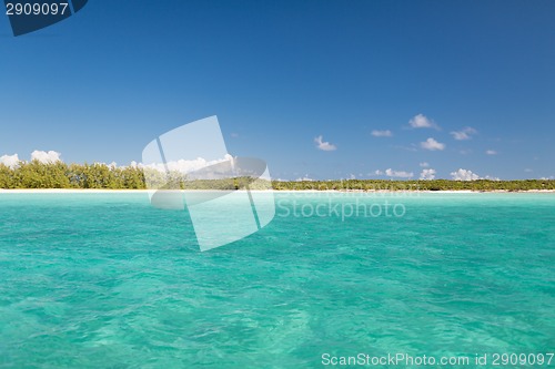 Image of blue sea or ocean, beach and forest