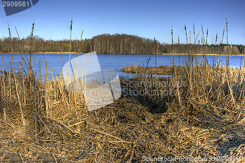 Image of Landsacape
