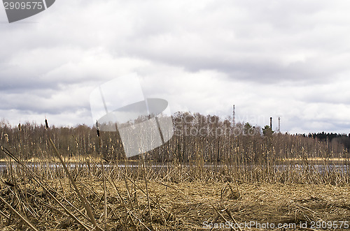 Image of Spring