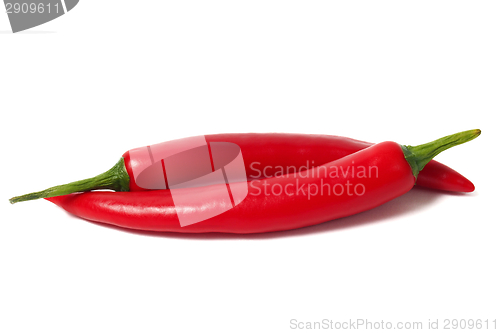 Image of Red Chili Pepper