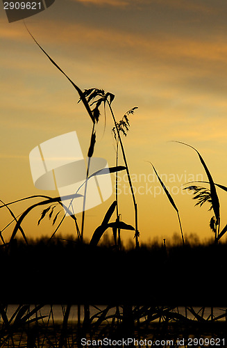 Image of Autumn morning