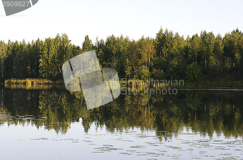 Image of Reflection