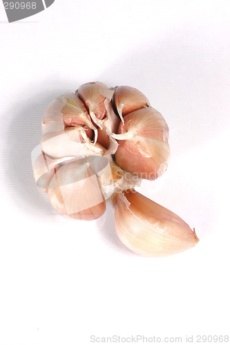 Image of fresh garlic