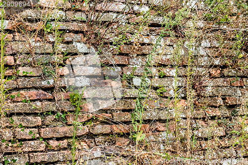 Image of Medieval brick walls