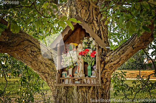 Image of Votive aedicula on a tree 