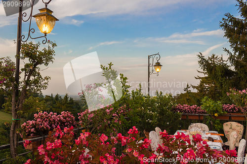 Image of Lamp on green view