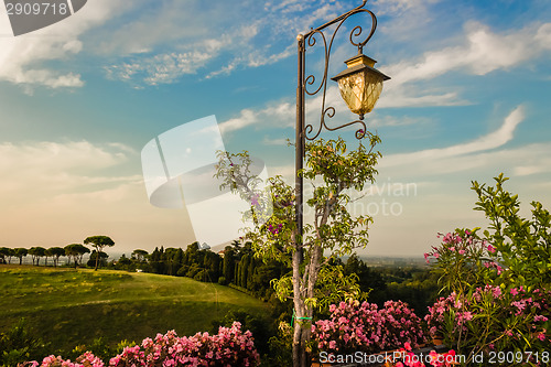 Image of Lamp on green view