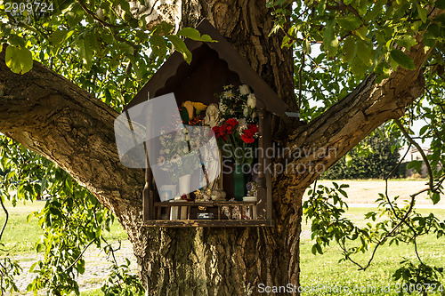 Image of Votive aedicula on a tree 