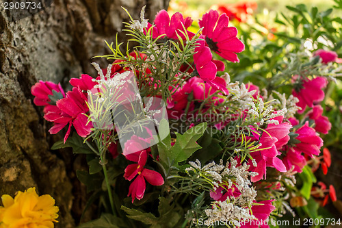 Image of Votive flowers under a tree