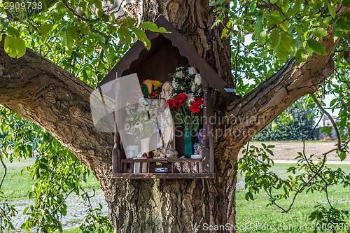 Image of Votive aedicula on a tree 