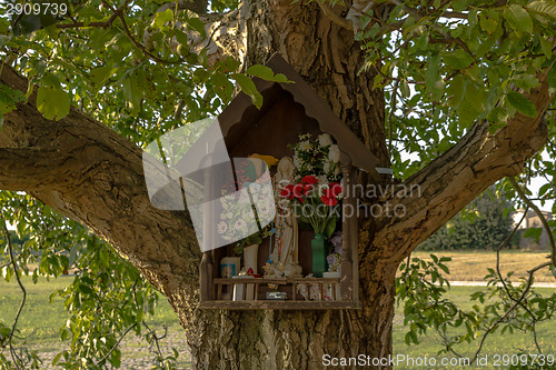 Image of Votive aedicula on a tree 