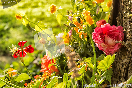 Image of Votive flowers under a tree