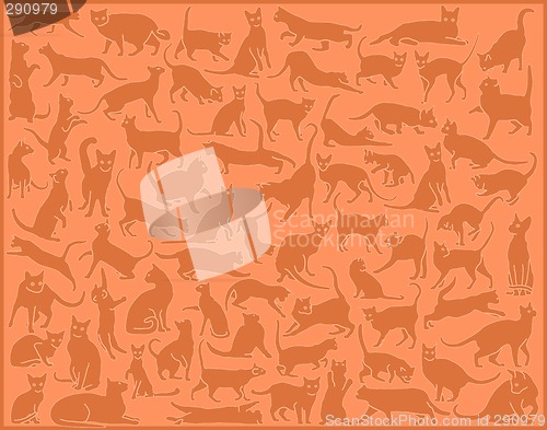 Image of Cat background