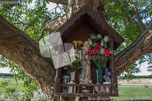 Image of Votive aedicula on a tree 