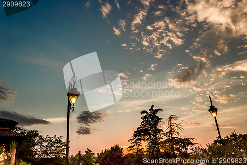 Image of Lamp on green view